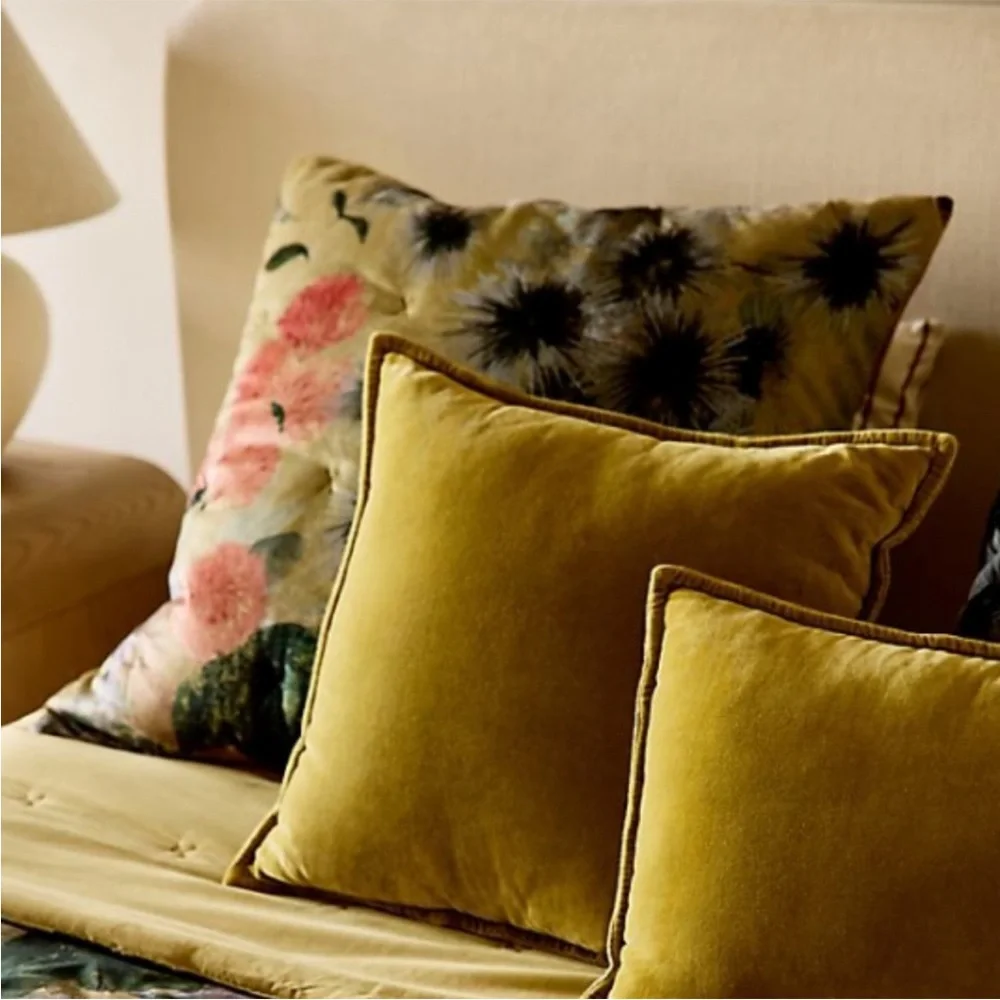 Anthropologie reposhing this